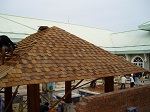 Pergola or Gazebo